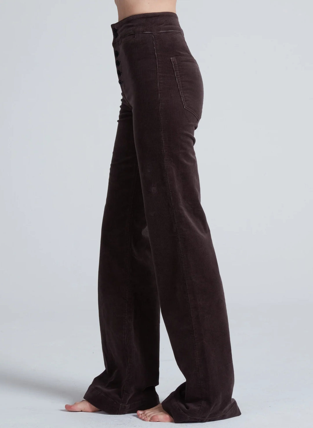 Brighton Corduroy - Chocolate