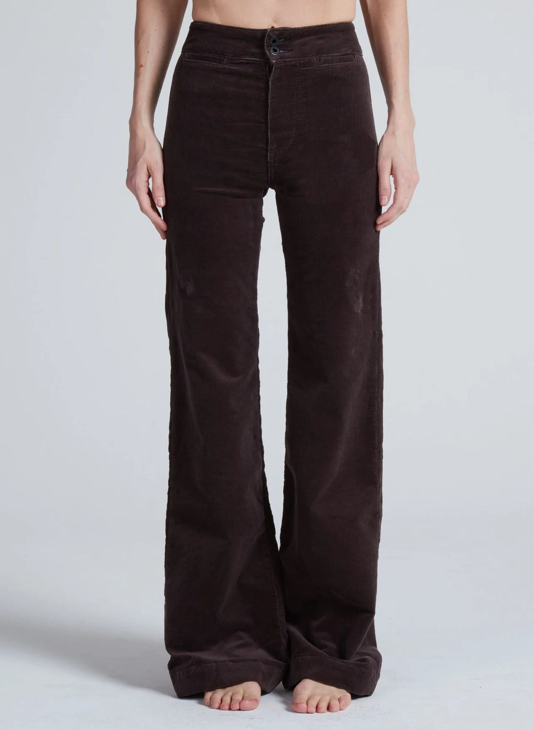 Brighton Corduroy - Chocolate
