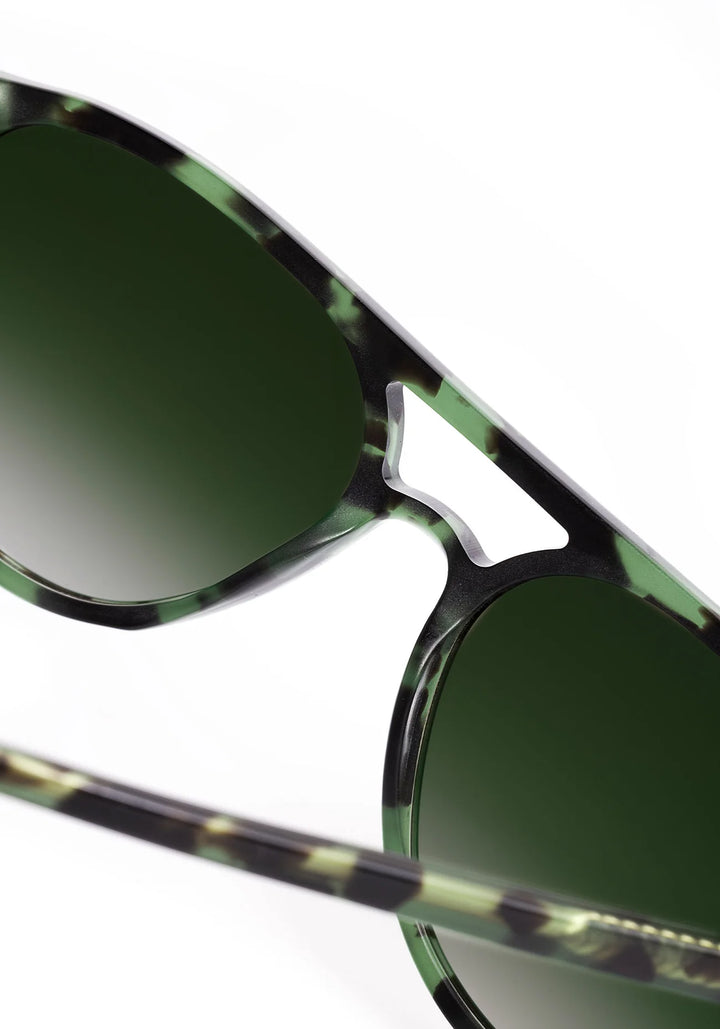 Brando - Hemlock Tortoise