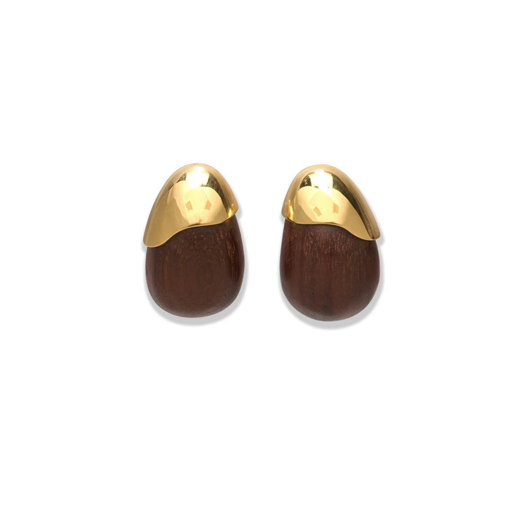 Toro Earrings