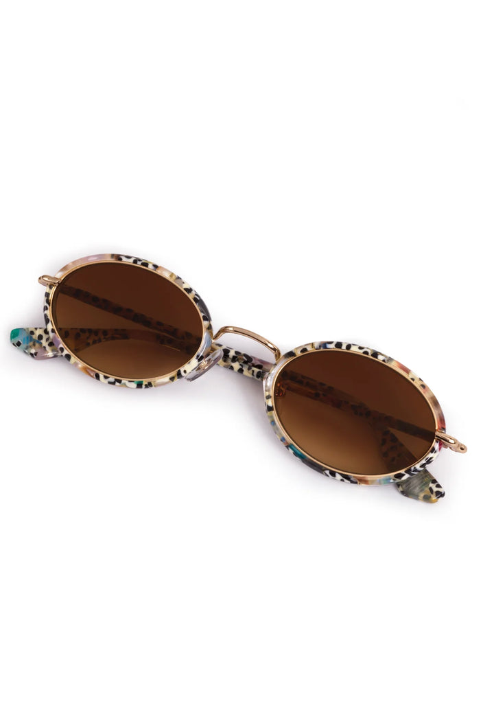Kate - Nikko Tortoise