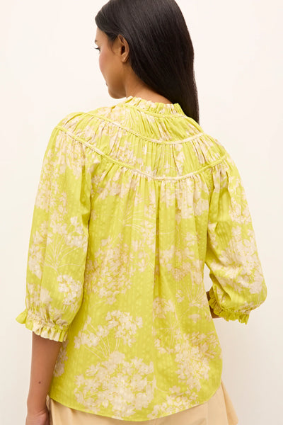 Finley Top - Honeysuckle