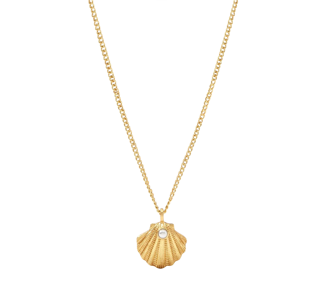 Sanibel Shell Delicate Necklace