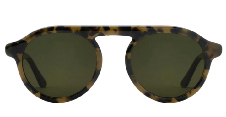 Cameron - Tortuga Polarized