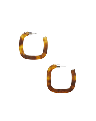 Midi Square Hoops - Modern Walnut