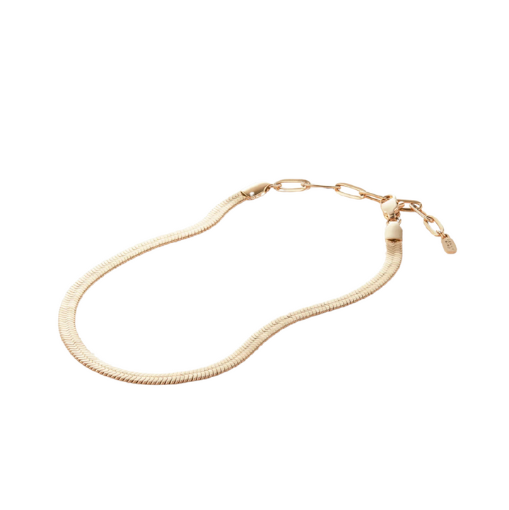 Zeina Anklet - Gold