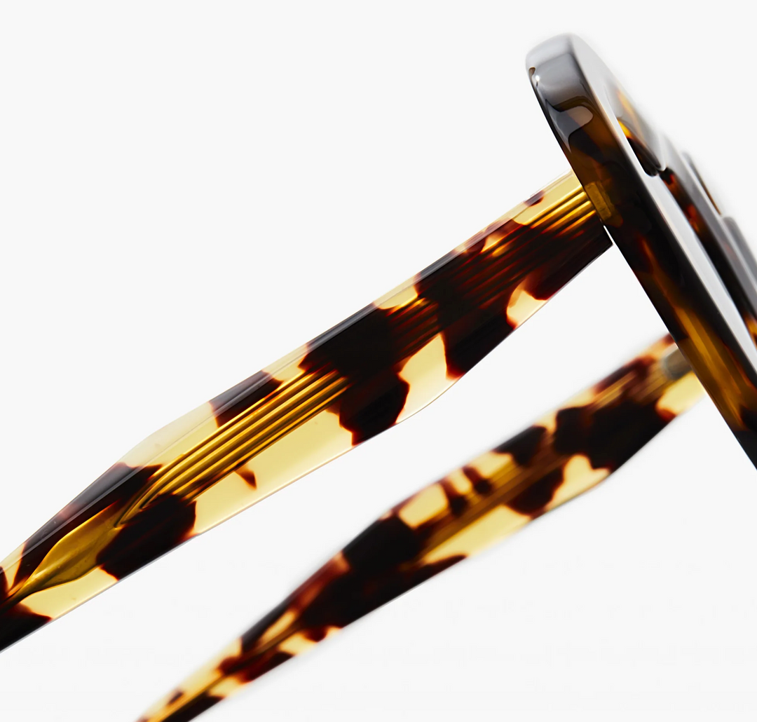 The Coeur - Tortoise