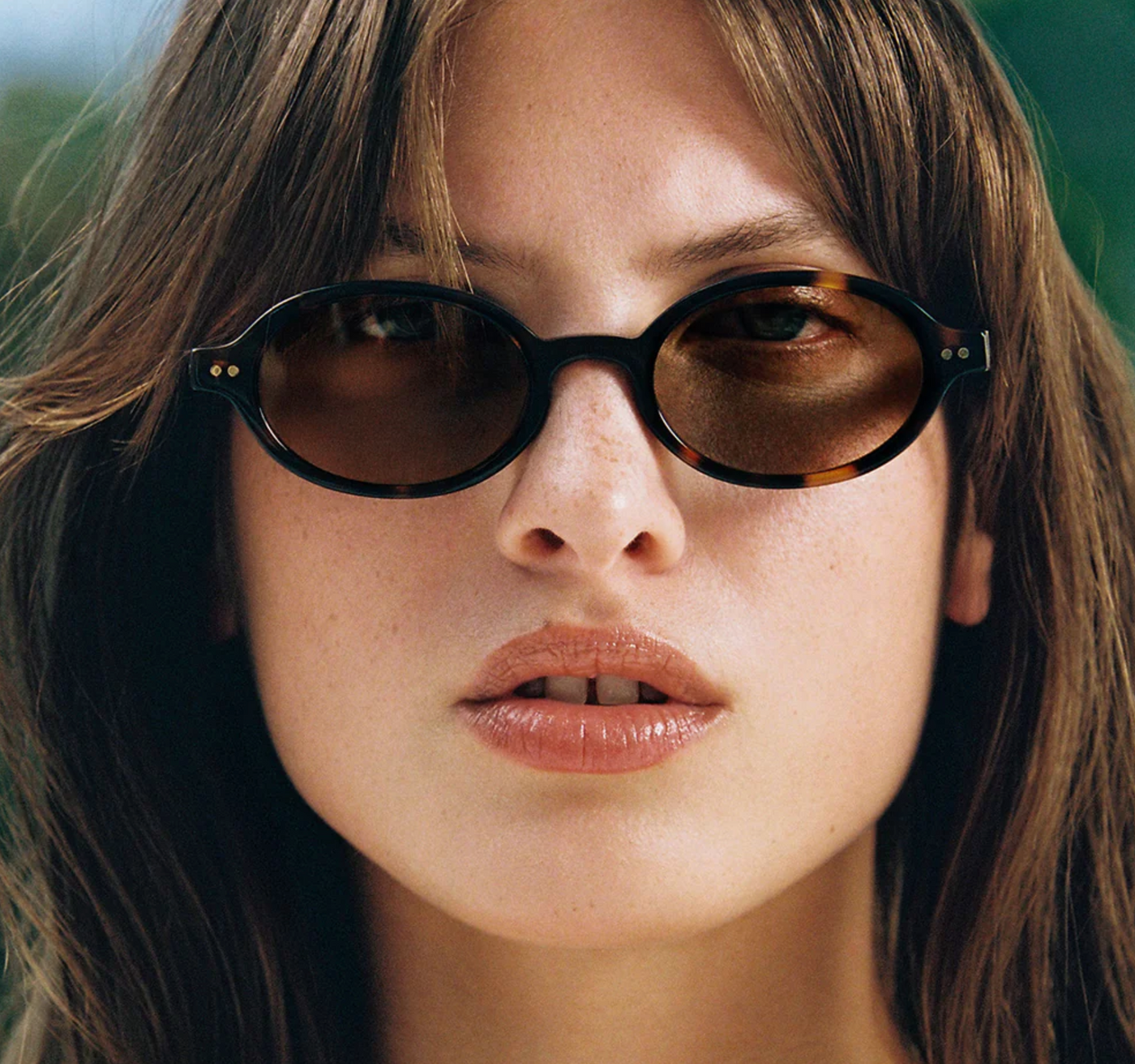 The Elvie - Dark Tortoise