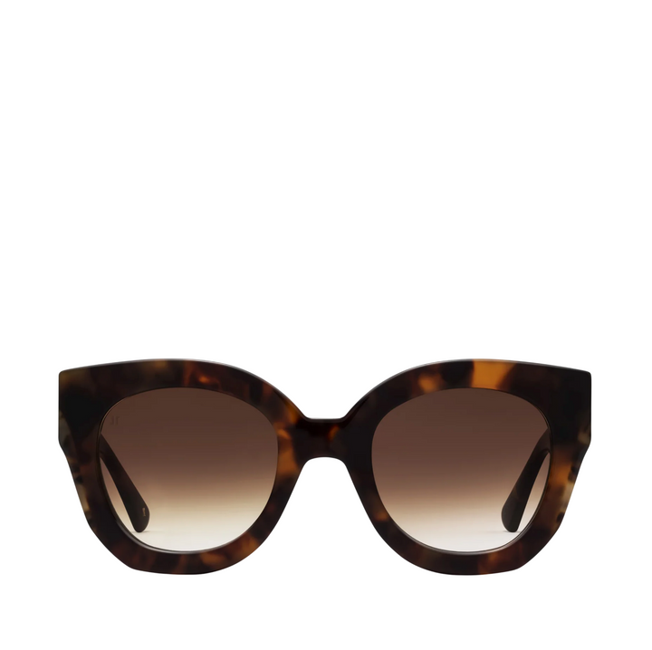 The Swirl - Tortoise