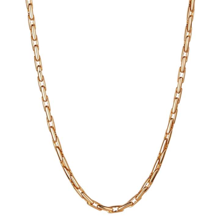 Alber Chain - Gold