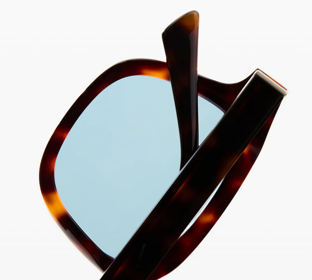 The Calvi - Dark Tortoise