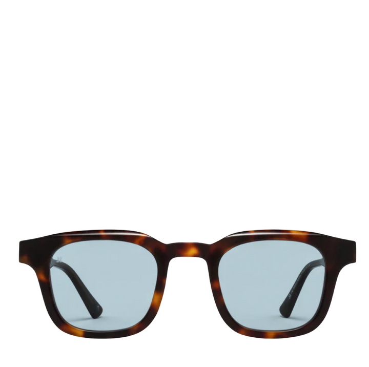 The Calvi - Dark Tortoise