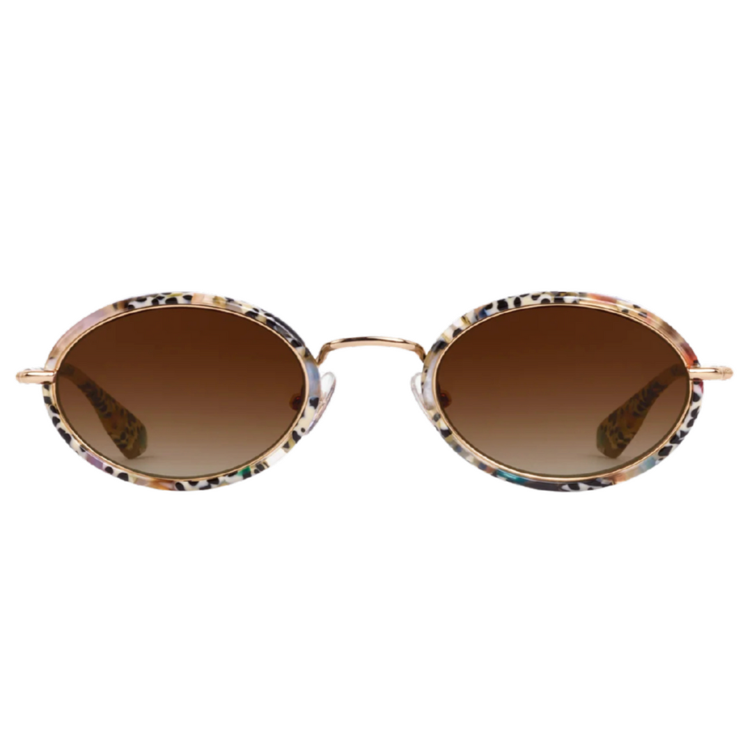 Kate - Nikko Tortoise