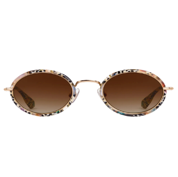 Kate - Nikko Tortoise