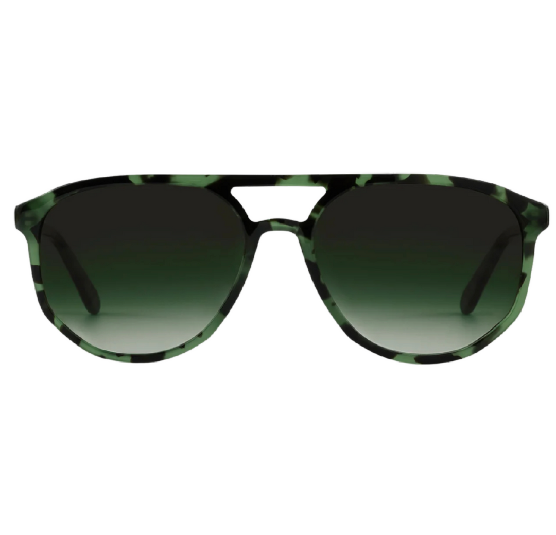 Brando - Hemlock Tortoise