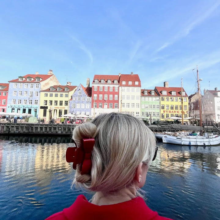 Acetate Claw Hair Clip - Classic Bow