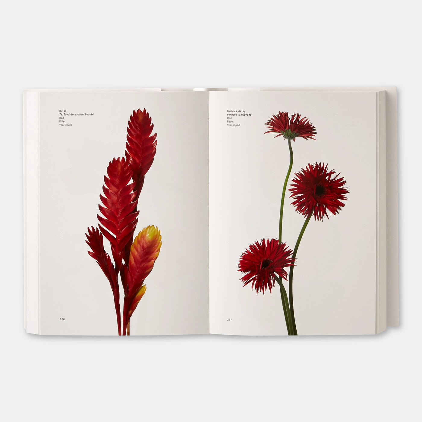 Flower Color Guide