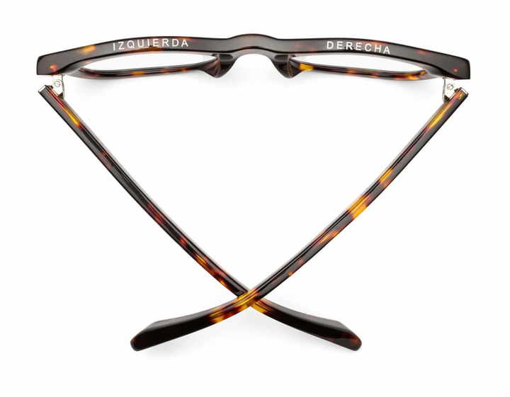 D28 Reading Glasses - Turtle