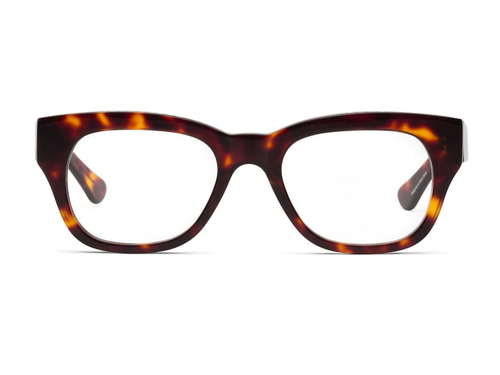 Miklos Readers - Polished Turtle